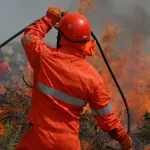Incendi in Campania, fiamme sul Monte Epomeo a Ischia: attivata la Protezione Civile
