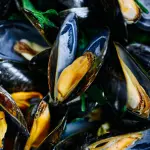 Seafood Expo Global, la Campania punta su qualità e tracciabilità: “Così le produzioni ittiche si rafforzano sui mercati internazionali”