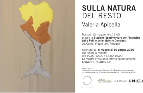 Pozzuoli, inaugura la mostra “Sulla natura del resto” di Valeria Apicella