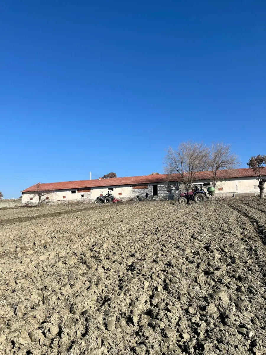 Benevento, controlli dei carabinieri nelle aziende agricole: multe e sospensioni