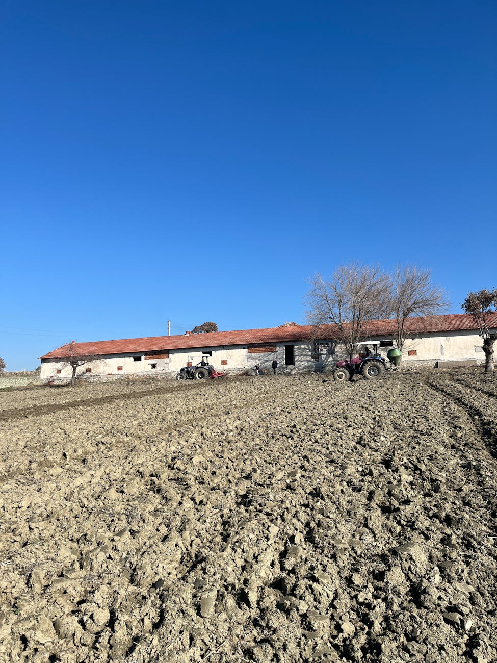 Benevento, controlli dei carabinieri nelle aziende agricole: multe e sospensioni