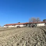 Benevento, controlli dei carabinieri nelle aziende agricole: multe e sospensioni