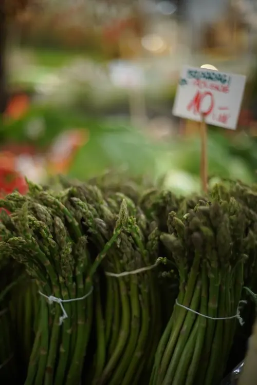 Sant’Angelo a Cupolo, bus deviato per la Sagra degli asparagi