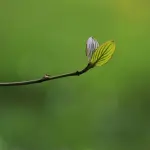 Progetto POWGEN:  il meeting europeo su inclusione lavorativa e transizione green