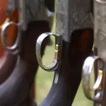 Avellino: cinque misure cautelari per armi illegali, quattro in carcere